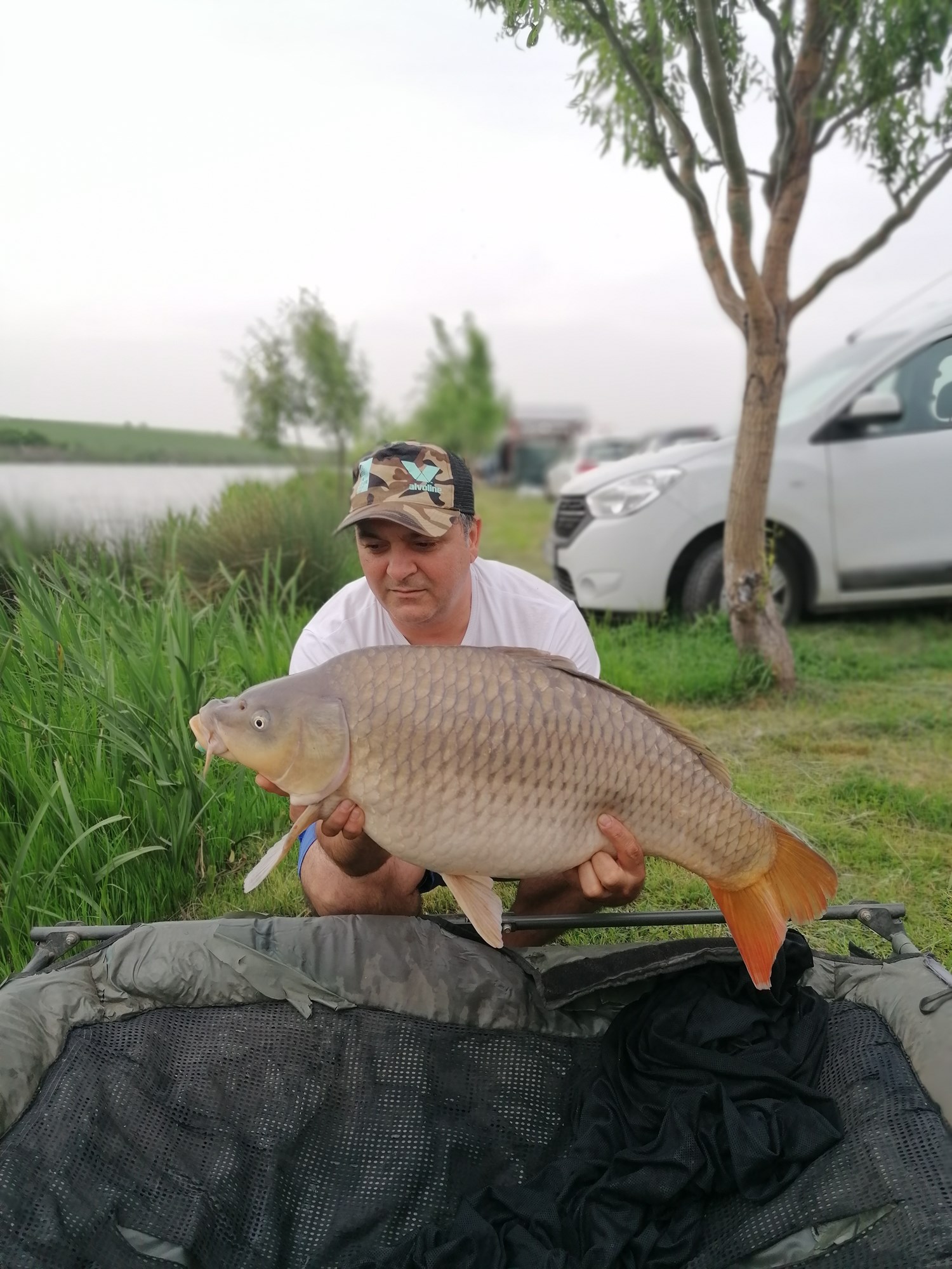 Cenusaru - IMG202005151836481.jpg